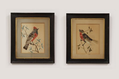 Lot 488 - A pair of Victorian feather pictures