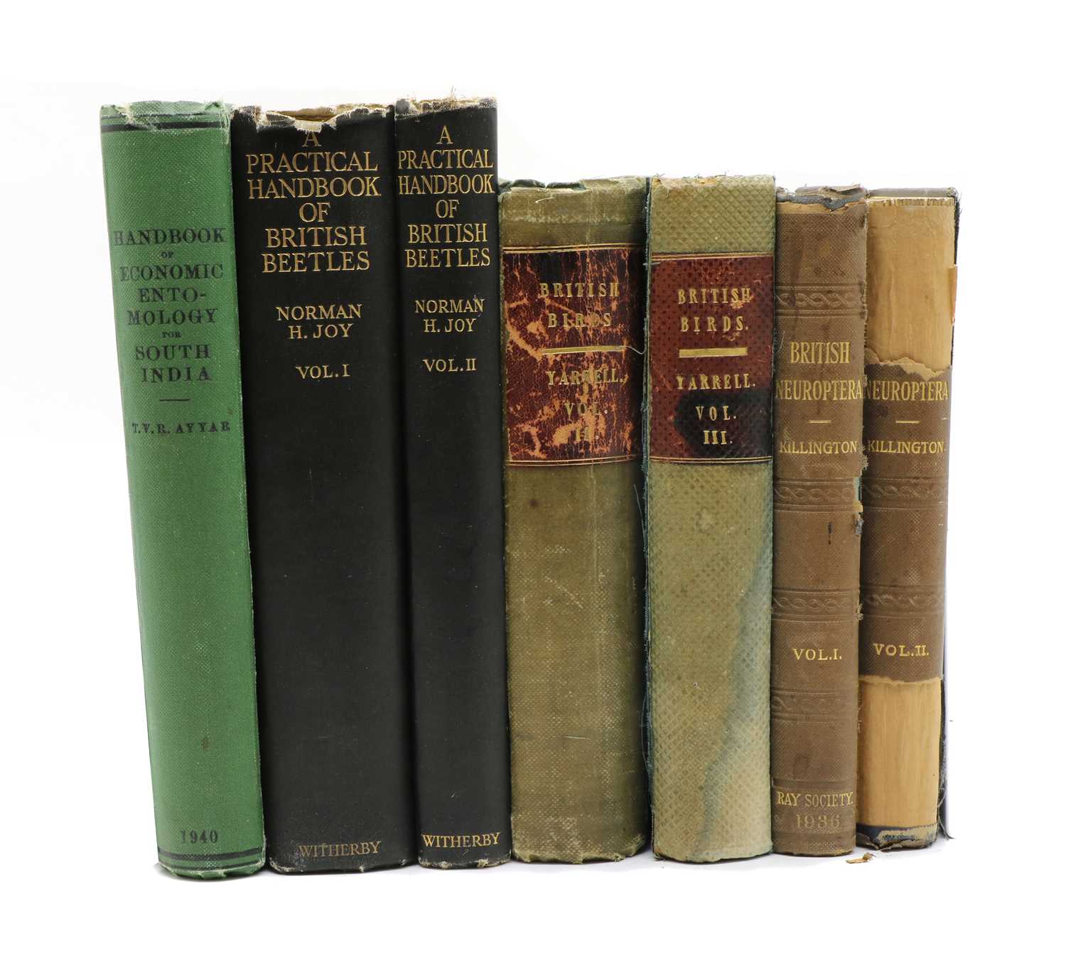 Lot 193 - NATURAL HISTORY