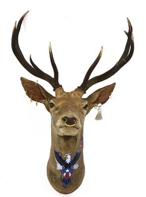 Lot 21 - PUNK STAG
