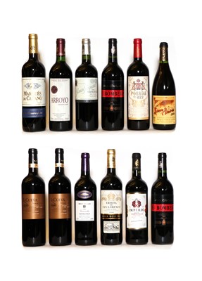 Lot 33 - A collection of Spanish red wines (12 bottles)