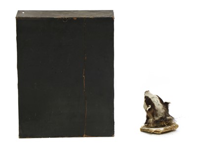 Lot 183 - A taxidermy diorama of three red squirrels