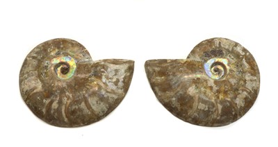 Lot 167 - A pair of Madagascan polished and split ammonites