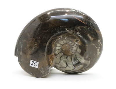 Lot 171 - A large polished Goniatite Ammonite