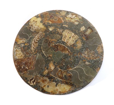 Lot 163 - A polished ammonite plate