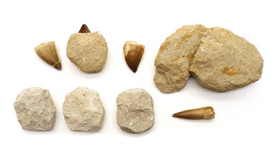 Lot 181 - A collection of fossilised teeth