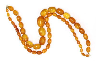 Lot 134 - Two single row graduated olive shaped amber bead necklaces