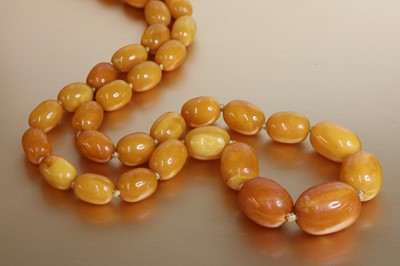 Lot 128 - A single row graduated olive shaped butterscotch amber bead necklace
