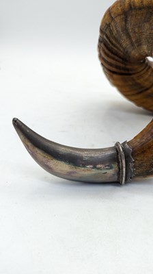 Lot 23 - A tabletop rams horn snuff mull