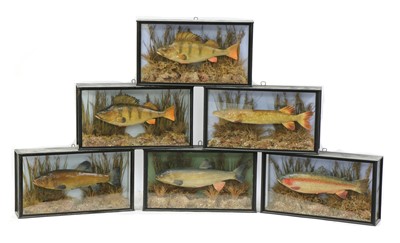 Lot 324 - A collection of six faux stuffed fish