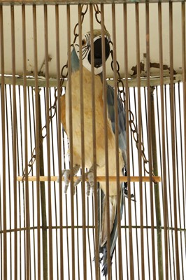 Lot 383 - A large brass bird cage