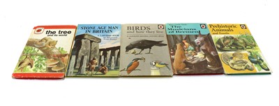 Lot 174A - A collection of over 200 volumes of Ladybird Books