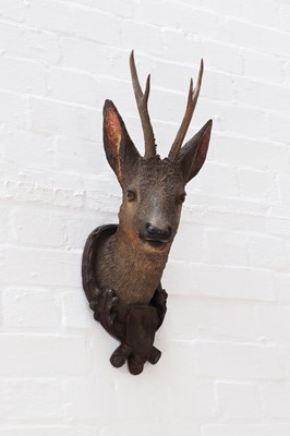 Lot 505 - A Black Forest terracotta roebuck trophy head