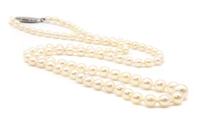 Lot 252 - A single row graduated cultured pearl necklace