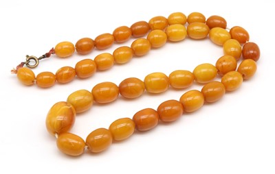 Lot 126 - A single row graduated olive shaped butterscotch amber bead necklace