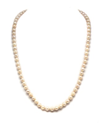 Lot 248 - A single row uniform cultured pearl necklace