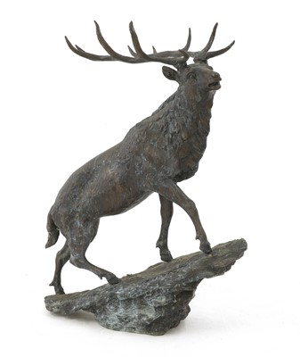 Lot 75 - Stag on a rocky outcrop