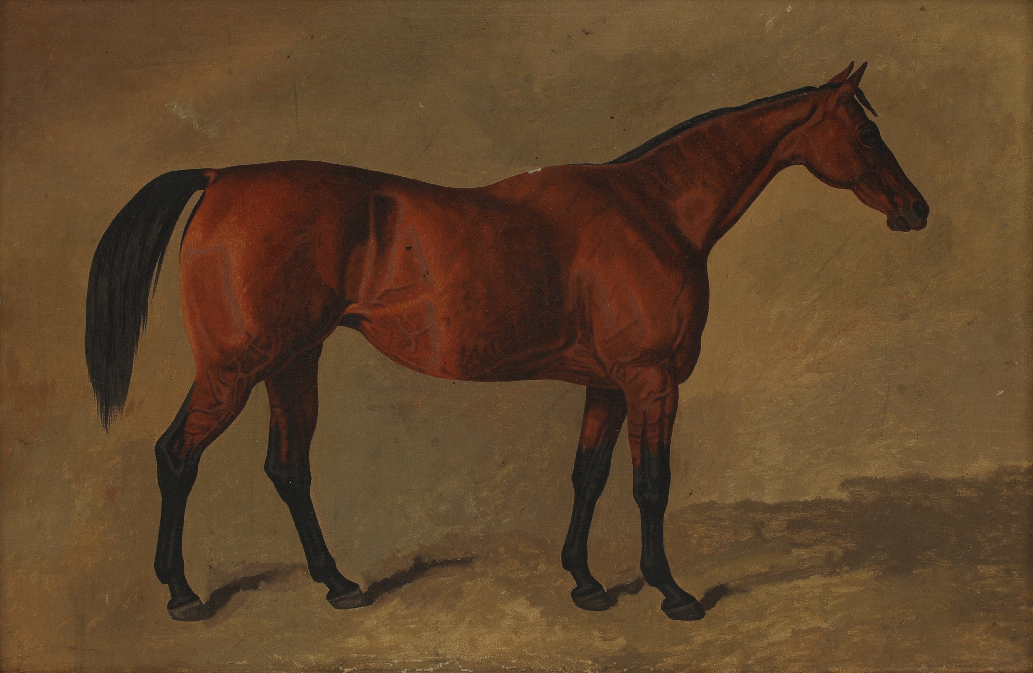 Lot 5 J Clark (19th century)