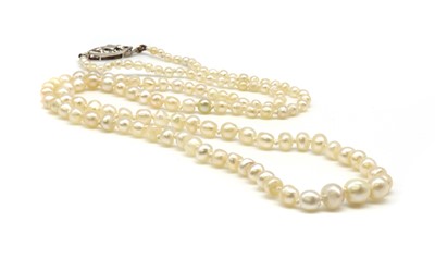 Lot 7 - A single row graduated pearl necklace