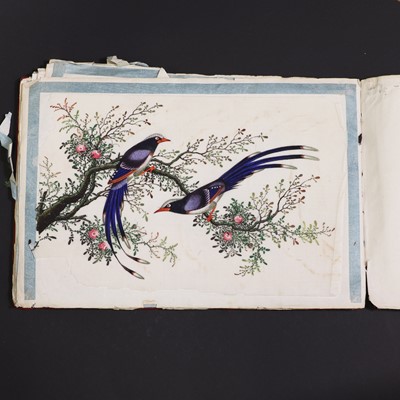 Lot 123 - A Chinese pith paper painting album