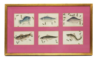 Lot 123A - A collection of six pith paper paintings