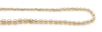 Lot 158 - A single row graduated natural saltwater pearl necklace