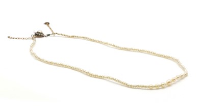 Lot 6 - A single row graduated seed pearl necklace