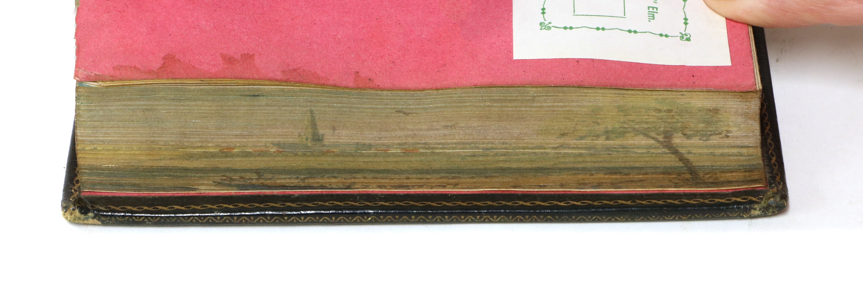 Lot 287 FOREEDGE PAINTING