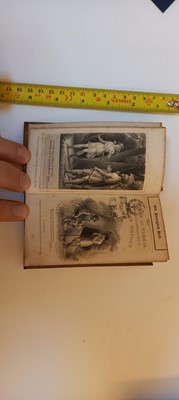 Lot 65 - MINIATURE: Collection of 18 volumes