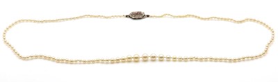 Lot 154 - A single row graduated pearl necklace