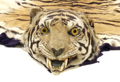 Lot 203 - A tiger skin rug (Panthera Tigris)