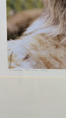 Lot 189 - A group of framed photographs of Christian the Lion