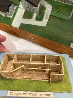 Lot 240 - Three boxes of wooden models of Hei Ling Chau