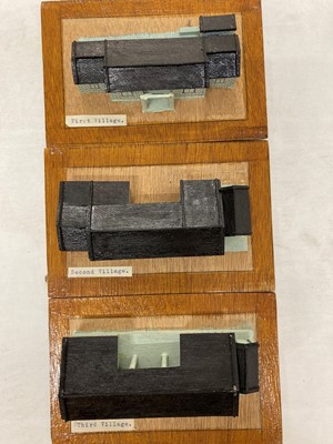 Lot 240 - Three boxes of wooden models of Hei Ling Chau
