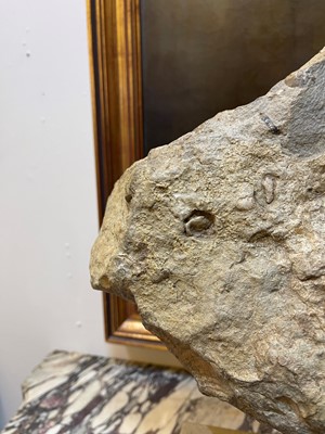 Lot 146 - A large ammonite fossil