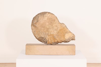 Lot 146 - A large ammonite fossil