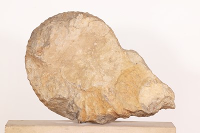 Lot 146 - A large ammonite fossil