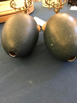 Lot 1 - A pair of emu eggs