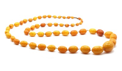 Lot 28 - A single row graduated butterscotch amber bead necklace