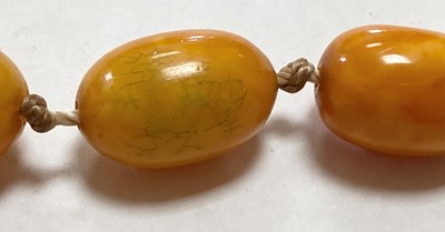 Lot 28 - A single row graduated butterscotch amber bead necklace