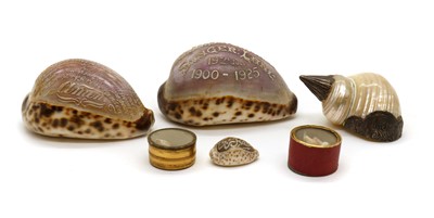 Lot 160 - A tiger cowrie shell