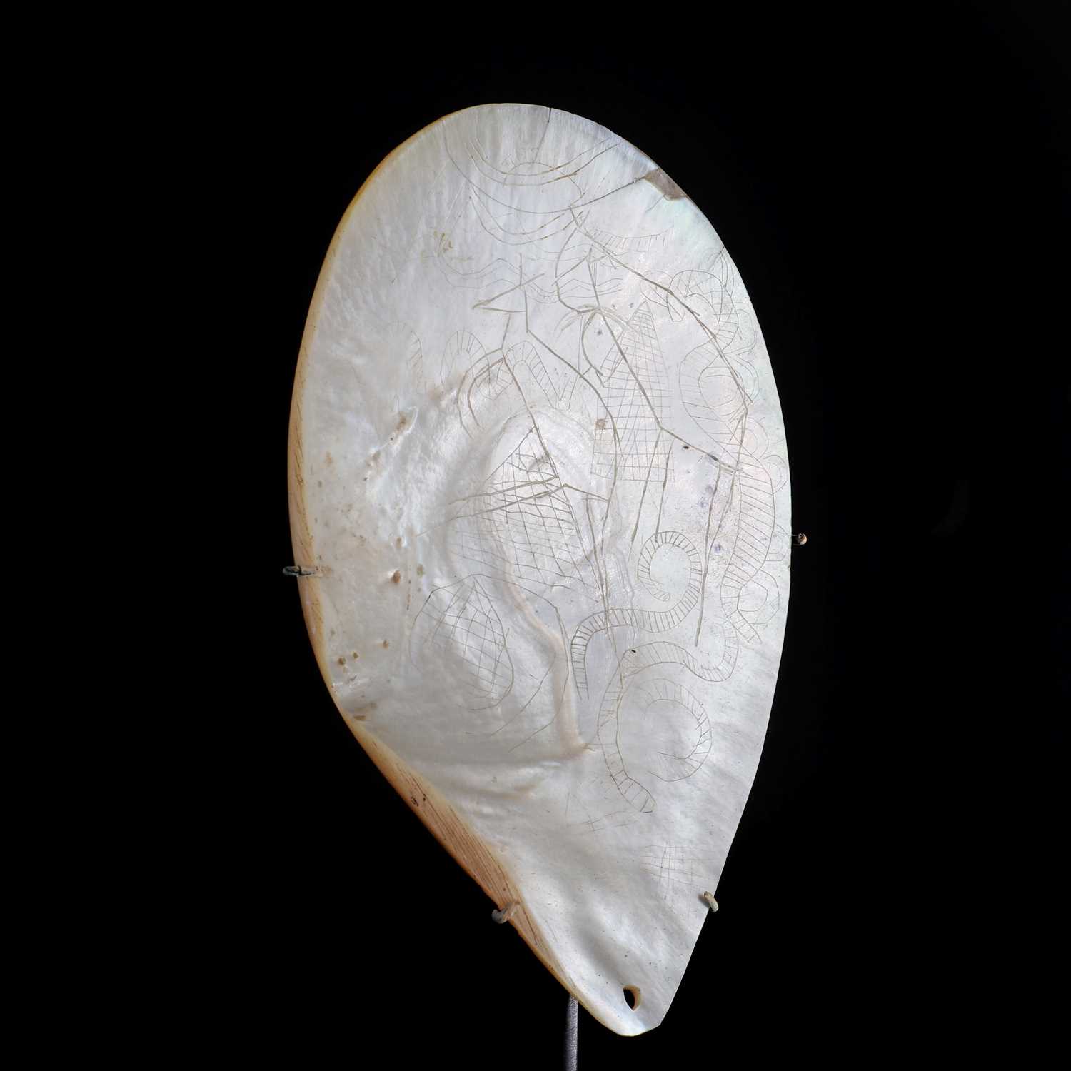 New Guinea Phallocrypt Lot 80 - An Aboriginal shell phallocrypt,