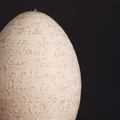 Lot 11 - A carved rhea egg