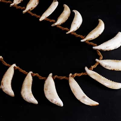Lot 68 - A Conus shell warrior's necklace