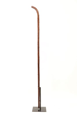 Lot 186 - A carved cherrywood scholar's or sage's staff