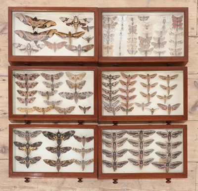 Lot 374 - A Victorian mahogany entomology cabinet