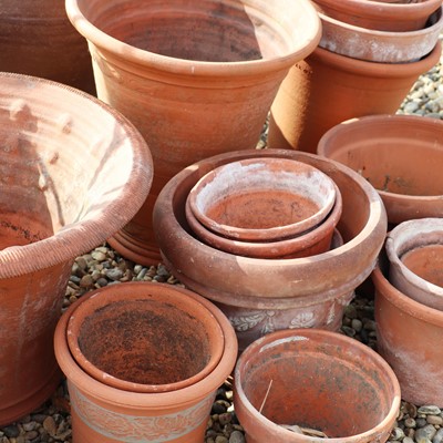 Lot 307 - A large group of terracotta wares