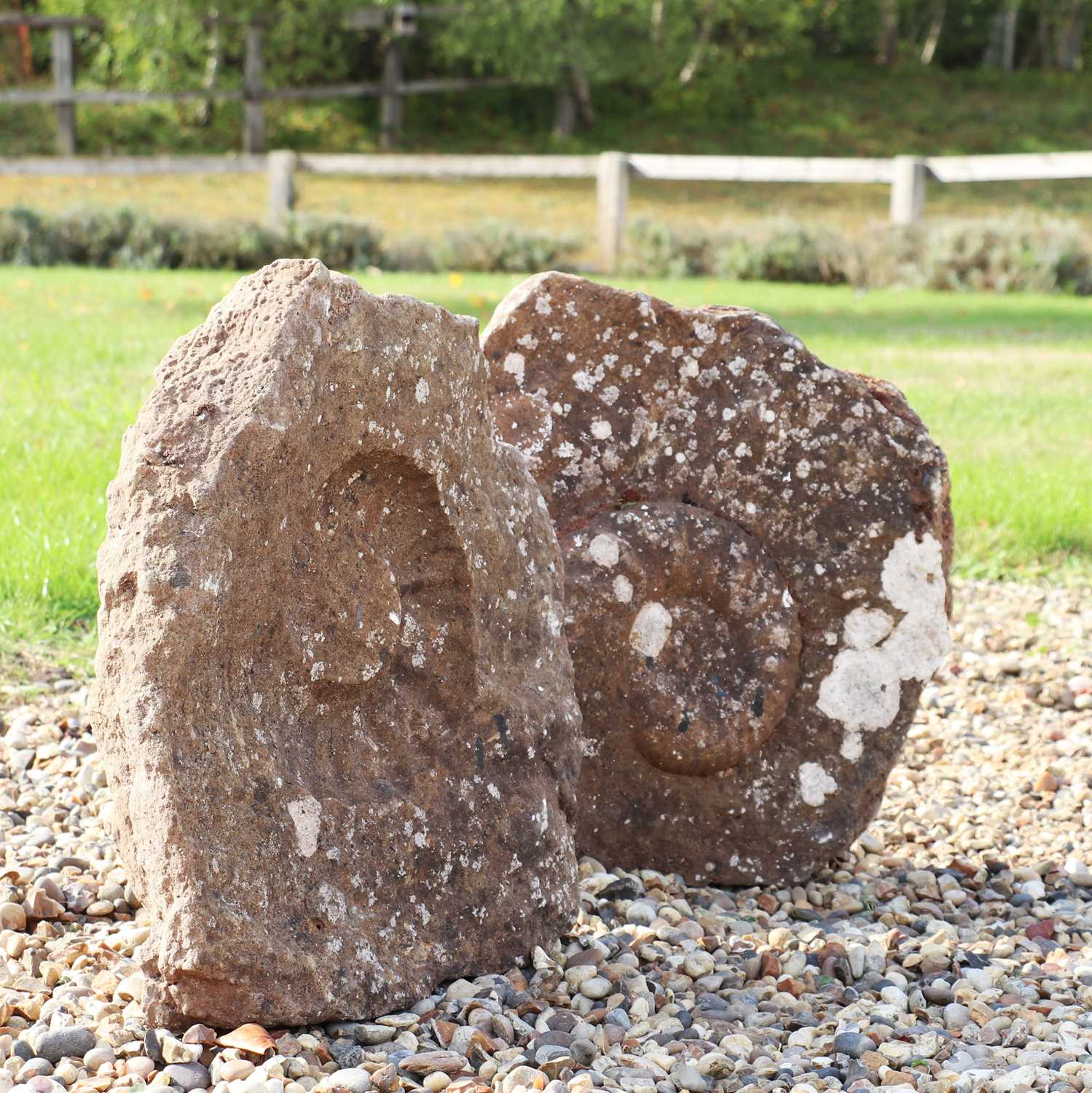 Lot 296 - Two ammonite fossil impressions