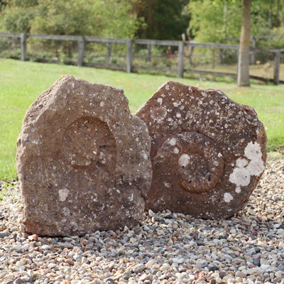 Lot 296 - Two ammonite fossil impressions