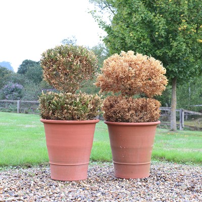 Lot 304 - A pair of large Whichford Pottery terracotta pots