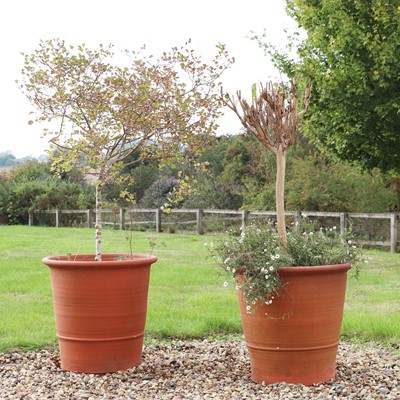Lot 320 - A pair of large Whichford Pottery terracotta pots